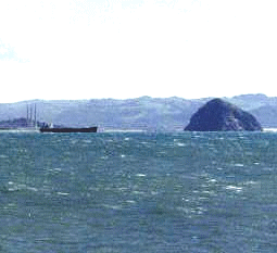 Morro Rock from the sea