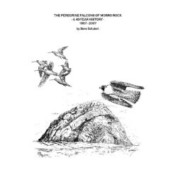 Steve Schubert Falcon Book