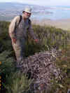 mike-w-giant-bird-nest-cabrillo-westside600x800.jpg (152607 bytes)