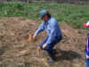 Malcolm McEwen, Watershed Coordinator, demonstrating Willow Mattress McEwen-on-willow-mattress.jpg (122540 bytes)