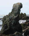 basalt-rock-sea-stack.jpg (31155 bytes)