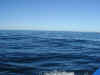 the-seas-were-fairly-calm-with-5foot-swells.jpg (64263 bytes)