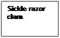 Text Box: Sickle razor clam.